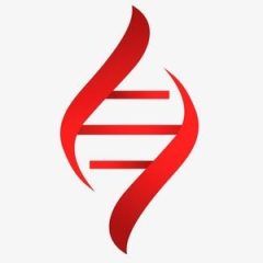 Фонд LEIKOZU.NET