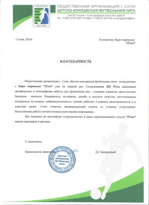 Общественная организация г. Сочи «Детско-юношеская футбольная лига»
